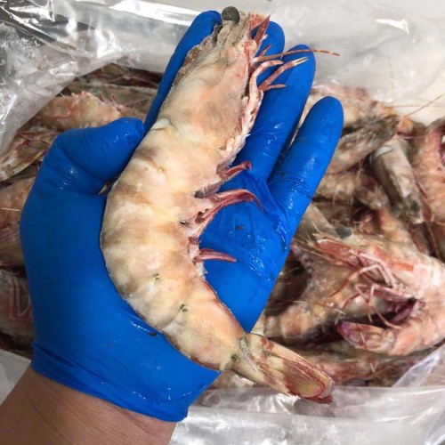澳洲老虎虾 U10（1kg/袋）